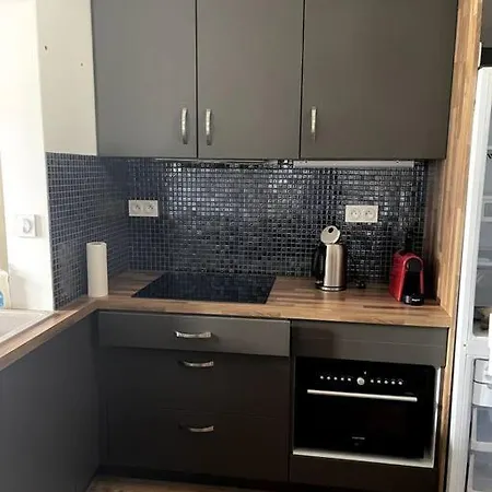 Ferienwohnung Les Petits Loups - Acces Parc - Stationnement Gratuit Bagnères-de-Bigorre Exterior foto